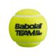 BabolatTeamAllCourtTennisball-p