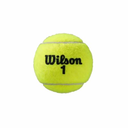 Wilson-Roland-Garros-Clay-Court-Tennisbollar