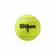 Wilson-Roland-Garros-Clay-Court-Tennisbollar