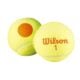 Wilson-Starter-Orange-3-Pack-3