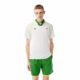 Mens-Lacoste-Sport-x-Daniil-Medvedev-Roland-Garros-Edition-Team-Leader-Polo-Shirt_et4ow9