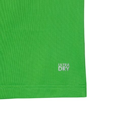 Lacoste-x-Daniil-Medvedev-Ultra-Dry-Tennis-Polo-Shirt-Green-3
