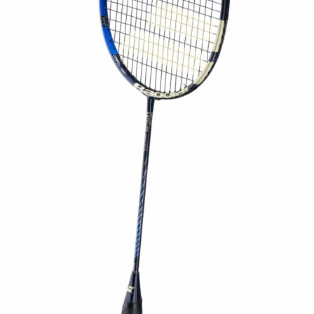 BabolatSateliteMaster-4