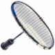 BabolatSateliteMaster-5