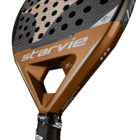 Starvie-Kenta-2025-3