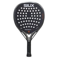 Siux Pegasus Pro 2026